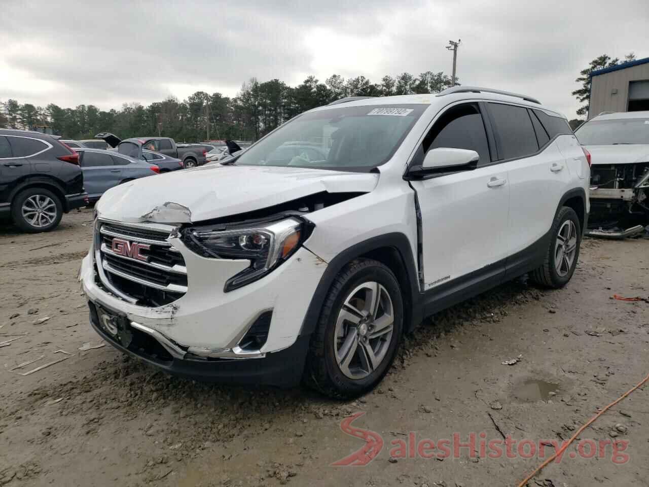 3GKALPEV7LL318184 2020 GMC TERRAIN