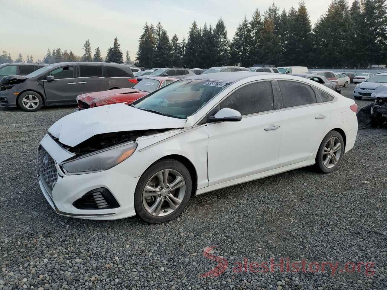 5NPE34AF5JH705372 2018 HYUNDAI SONATA