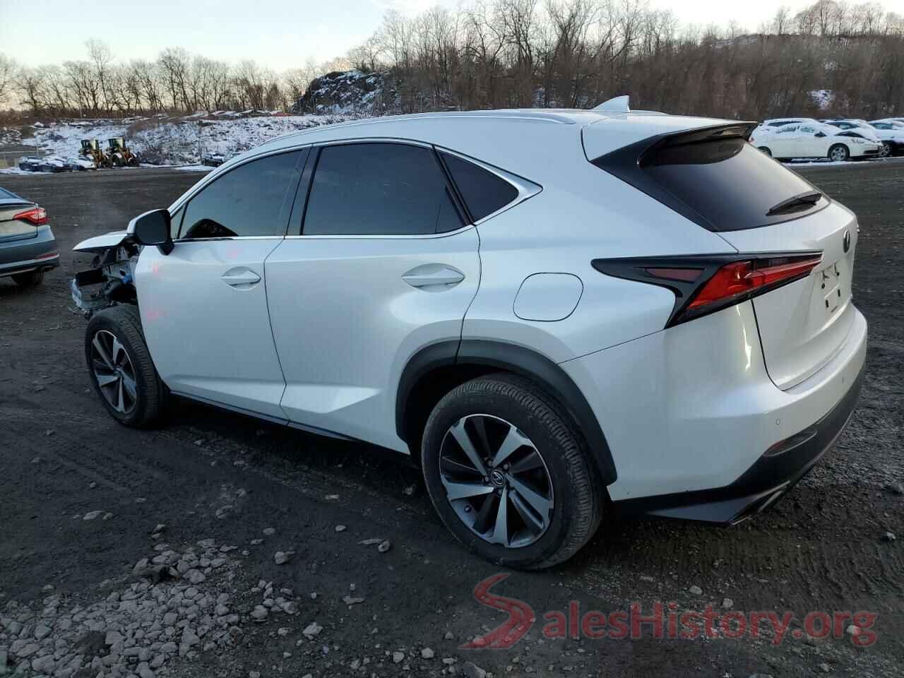 JTJBARBZ3K2189298 2019 LEXUS NX