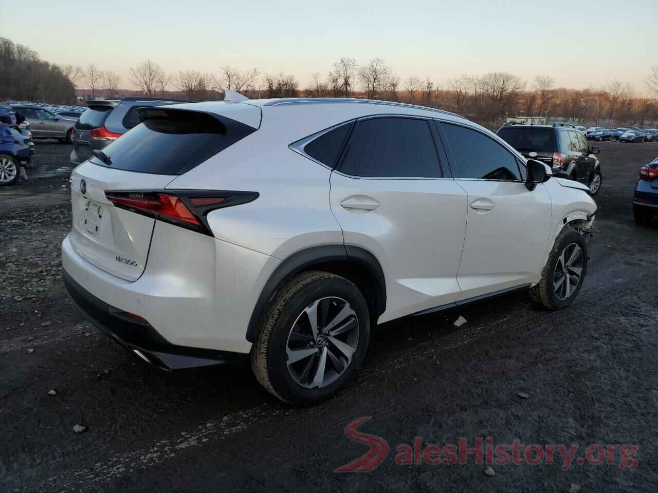 JTJBARBZ3K2189298 2019 LEXUS NX