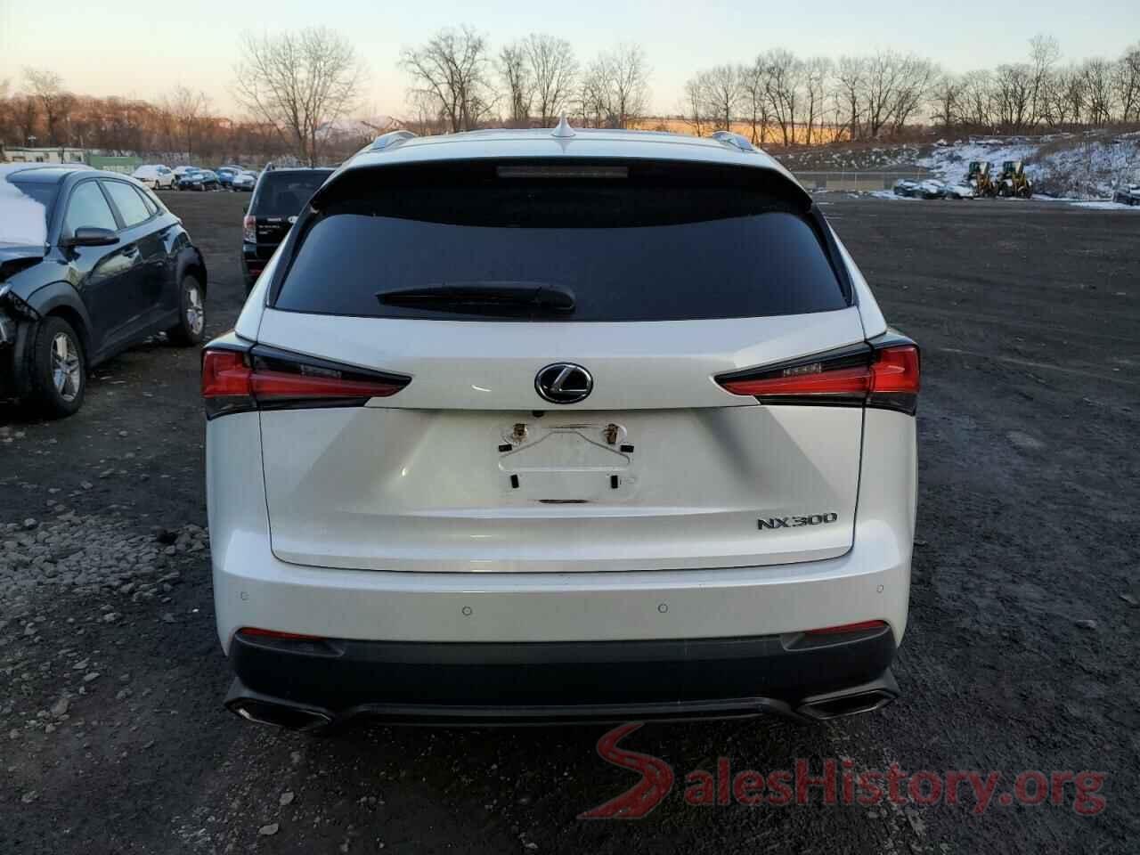 JTJBARBZ3K2189298 2019 LEXUS NX