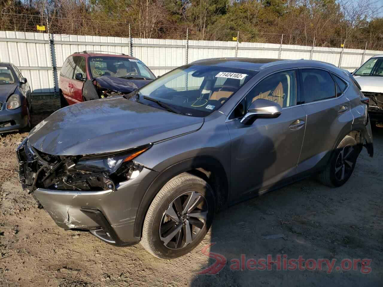 JTJBARBZ4J2177076 2018 LEXUS NX