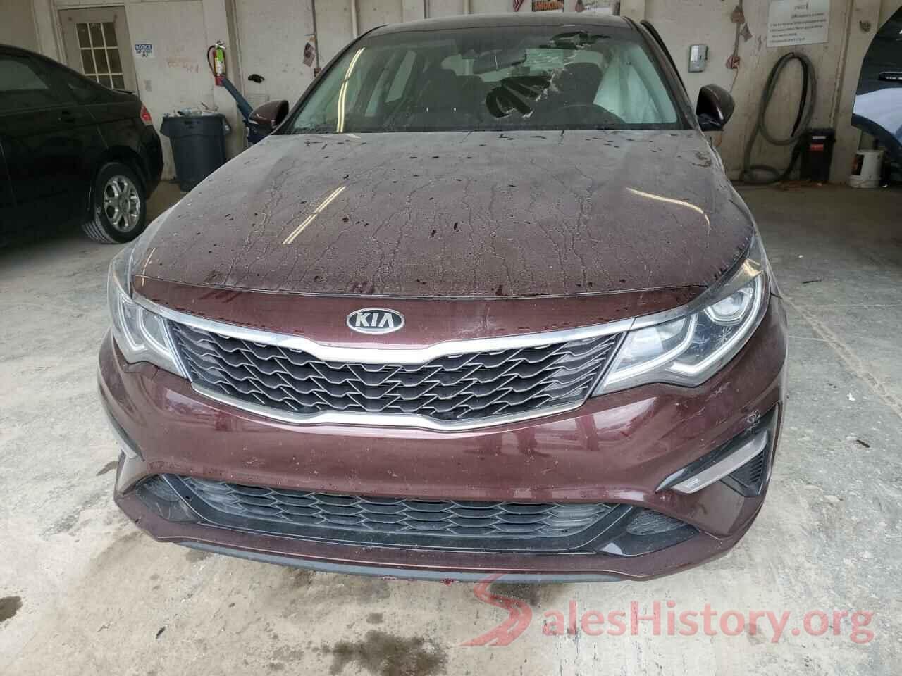 5XXGT4L30KG343668 2019 KIA OPTIMA