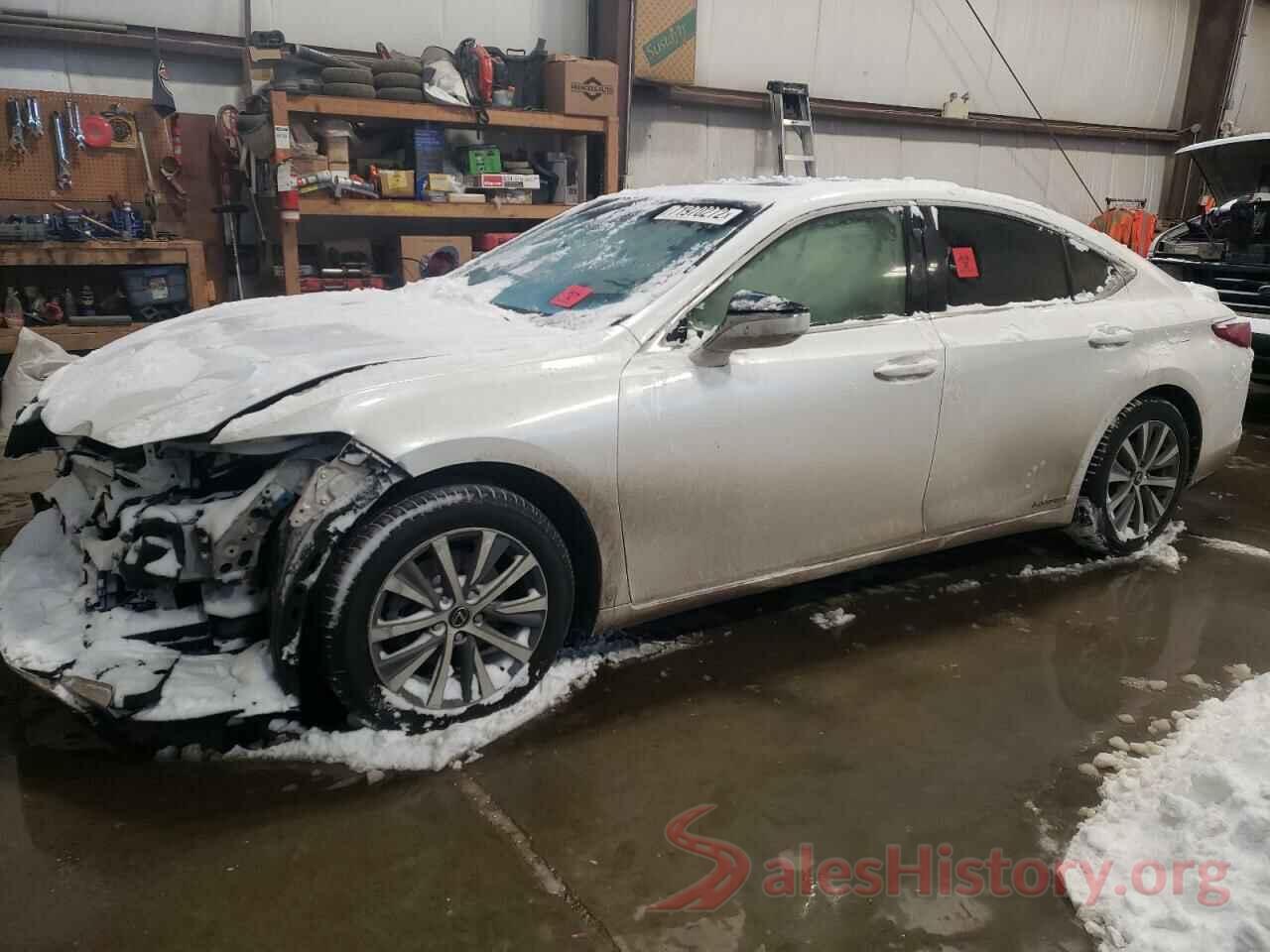 JTHB21B15K2008583 2019 LEXUS ES300