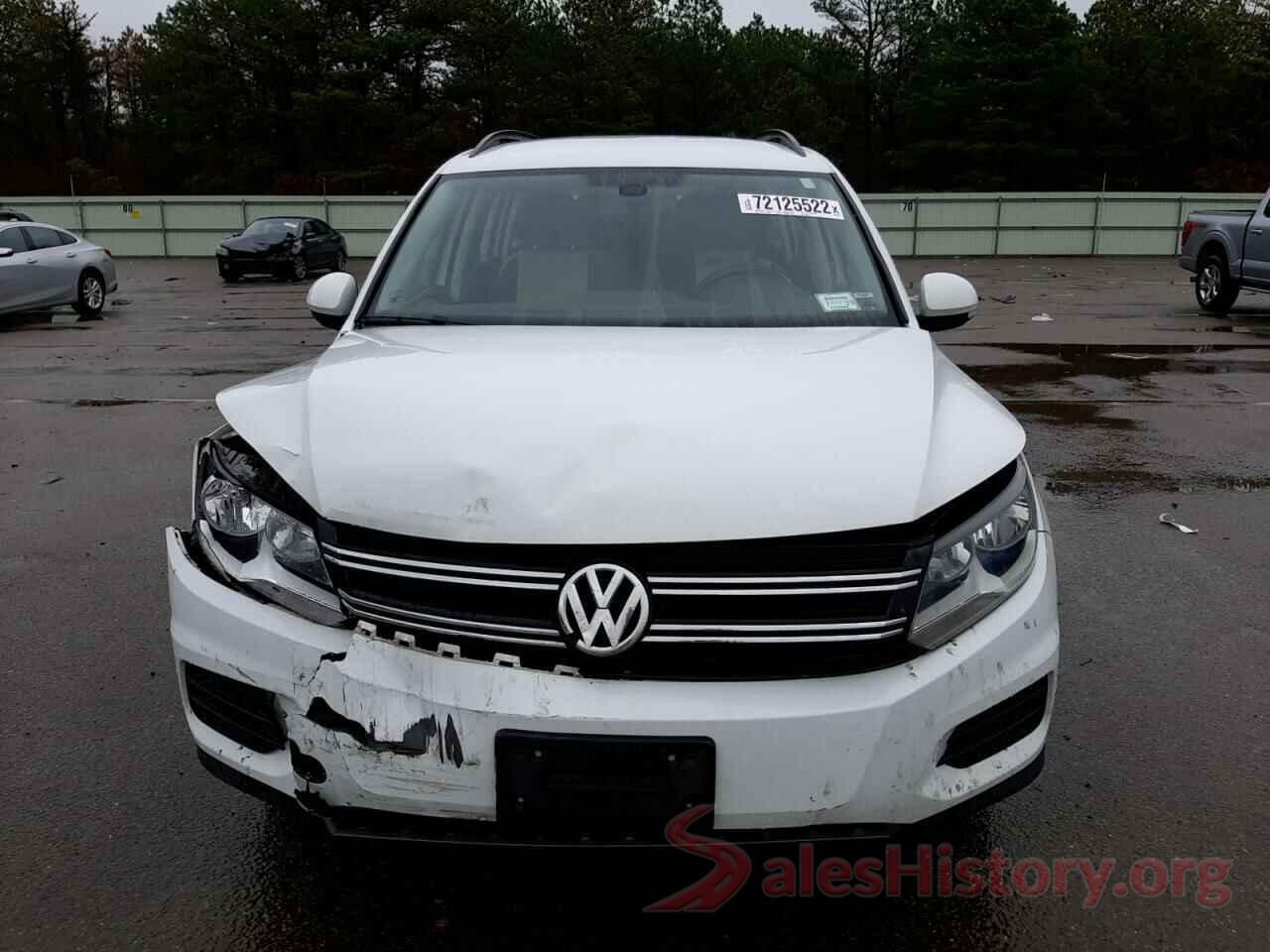 WVGBV7AX9HK032603 2017 VOLKSWAGEN TIGUAN