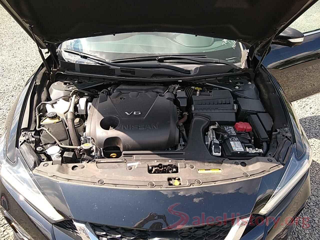 1N4AA6AV8KC363152 2019 NISSAN MAXIMA