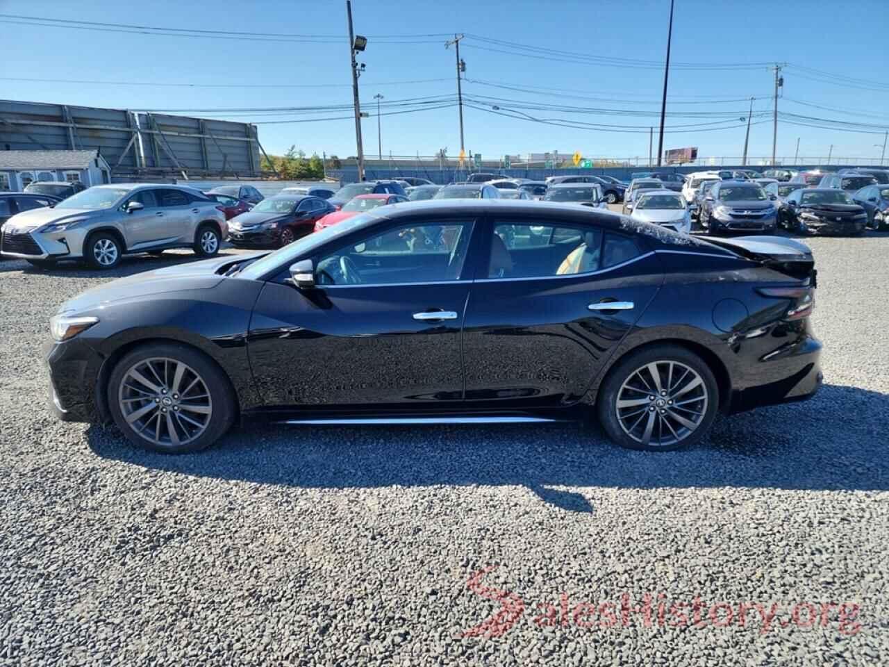 1N4AA6AV8KC363152 2019 NISSAN MAXIMA