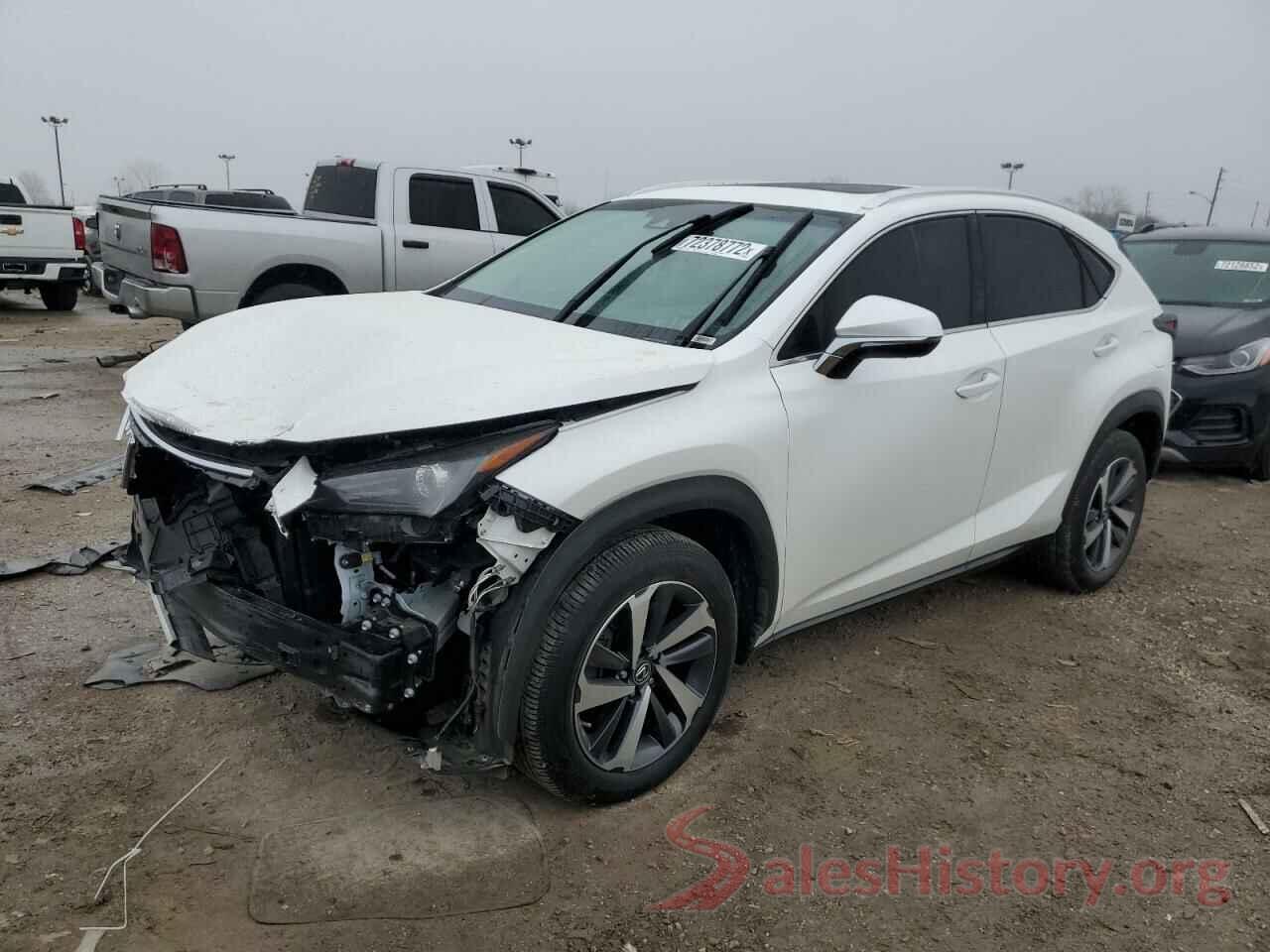 JTJBARBZ3K2206066 2019 LEXUS NX