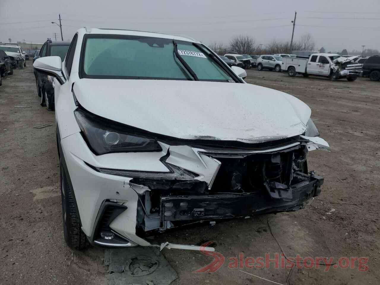 JTJBARBZ3K2206066 2019 LEXUS NX