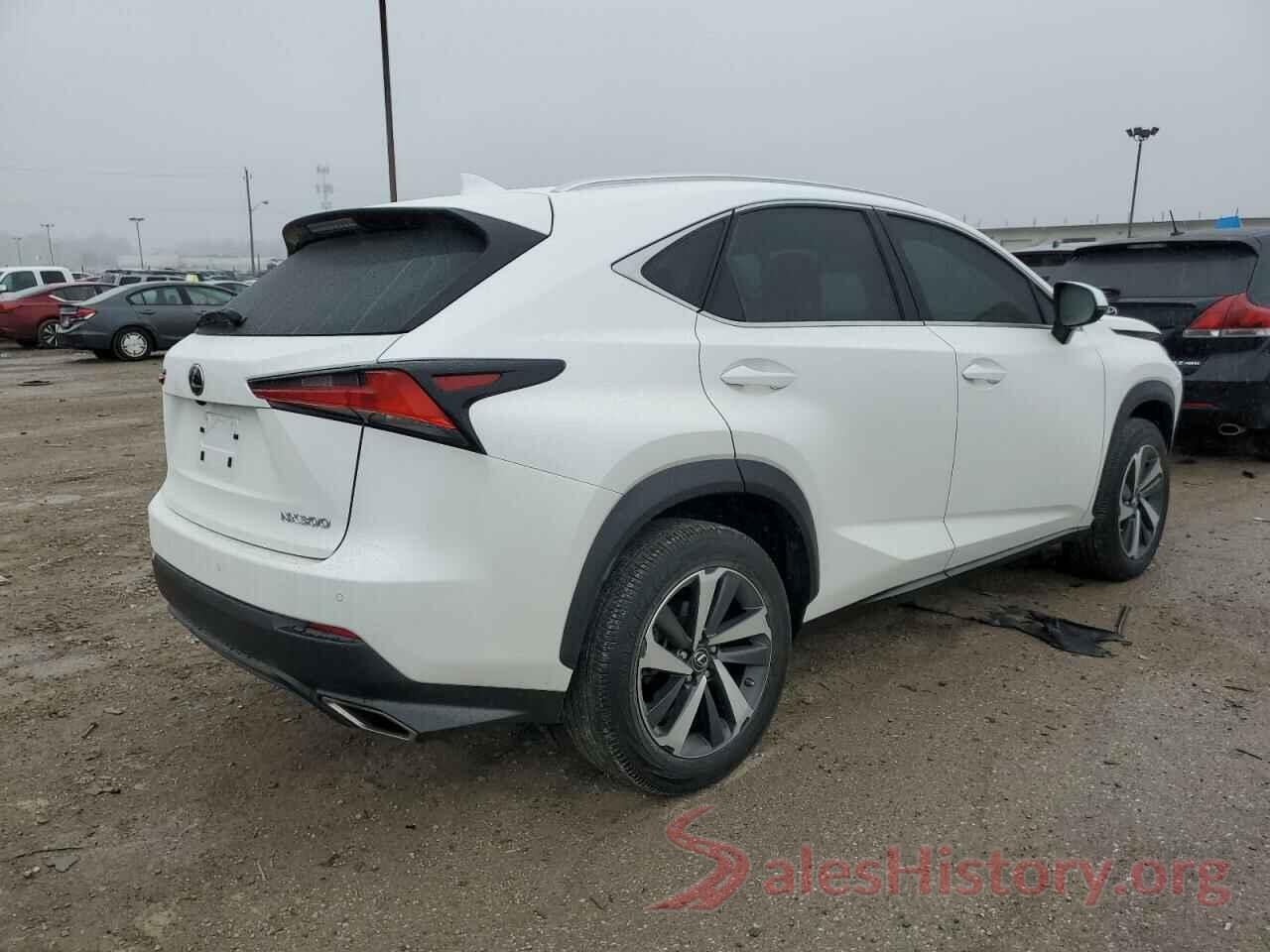 JTJBARBZ3K2206066 2019 LEXUS NX