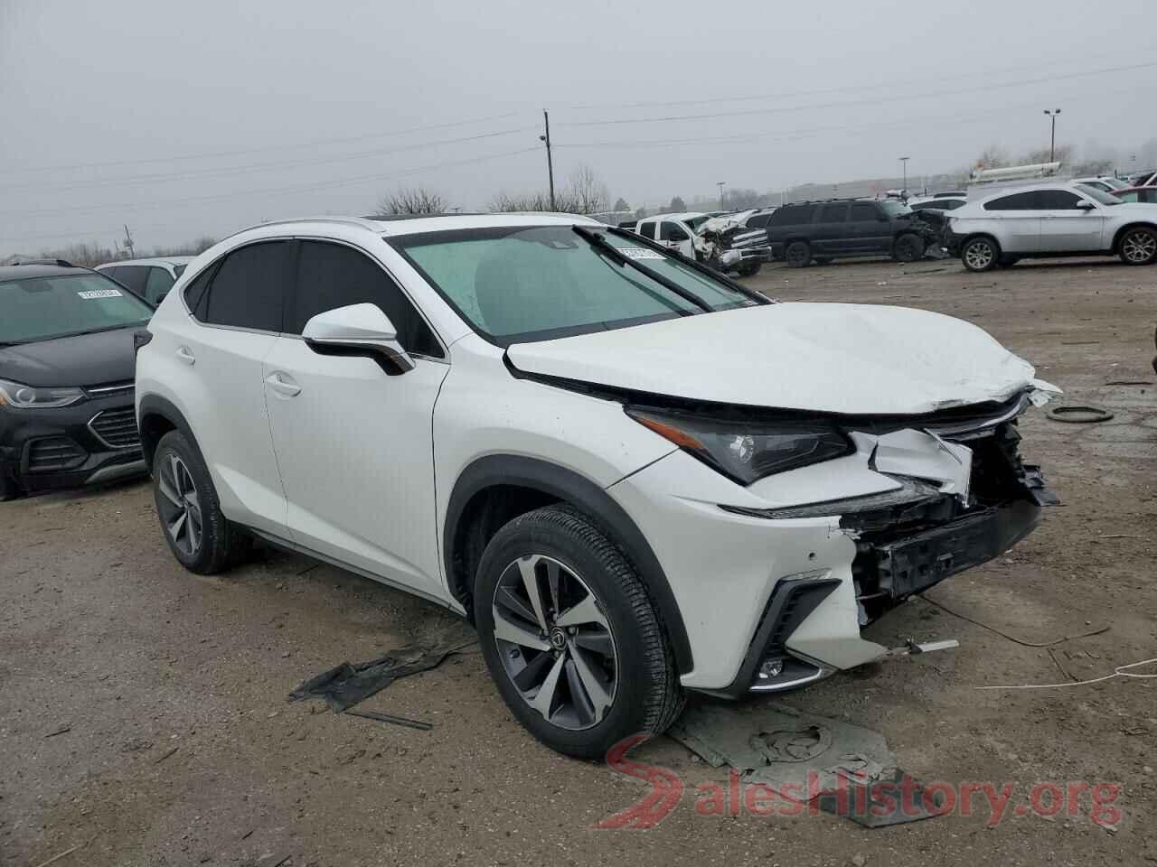 JTJBARBZ3K2206066 2019 LEXUS NX