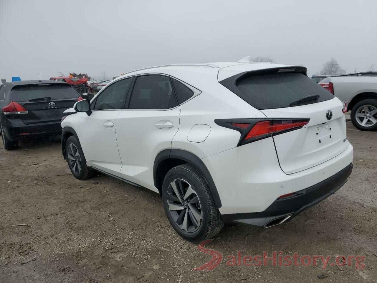 JTJBARBZ3K2206066 2019 LEXUS NX