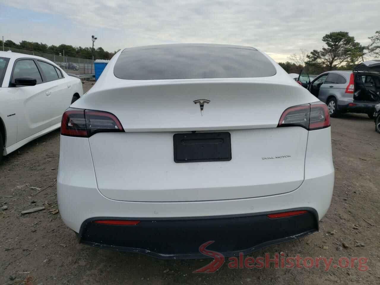 5YJYGAEE4MF211329 2021 TESLA MODEL Y