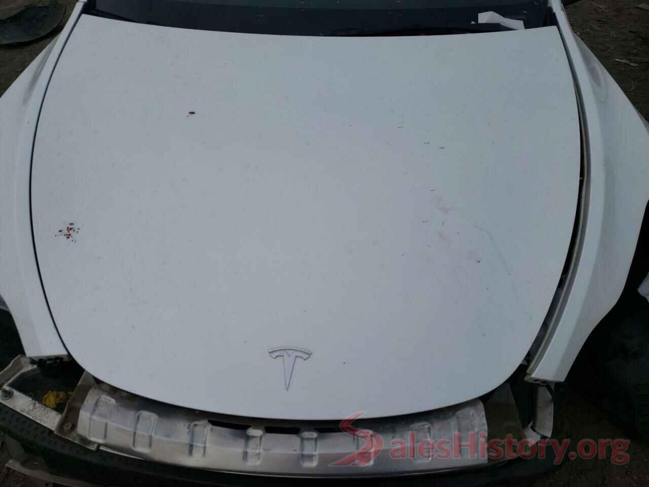 5YJYGAEE4MF211329 2021 TESLA MODEL Y