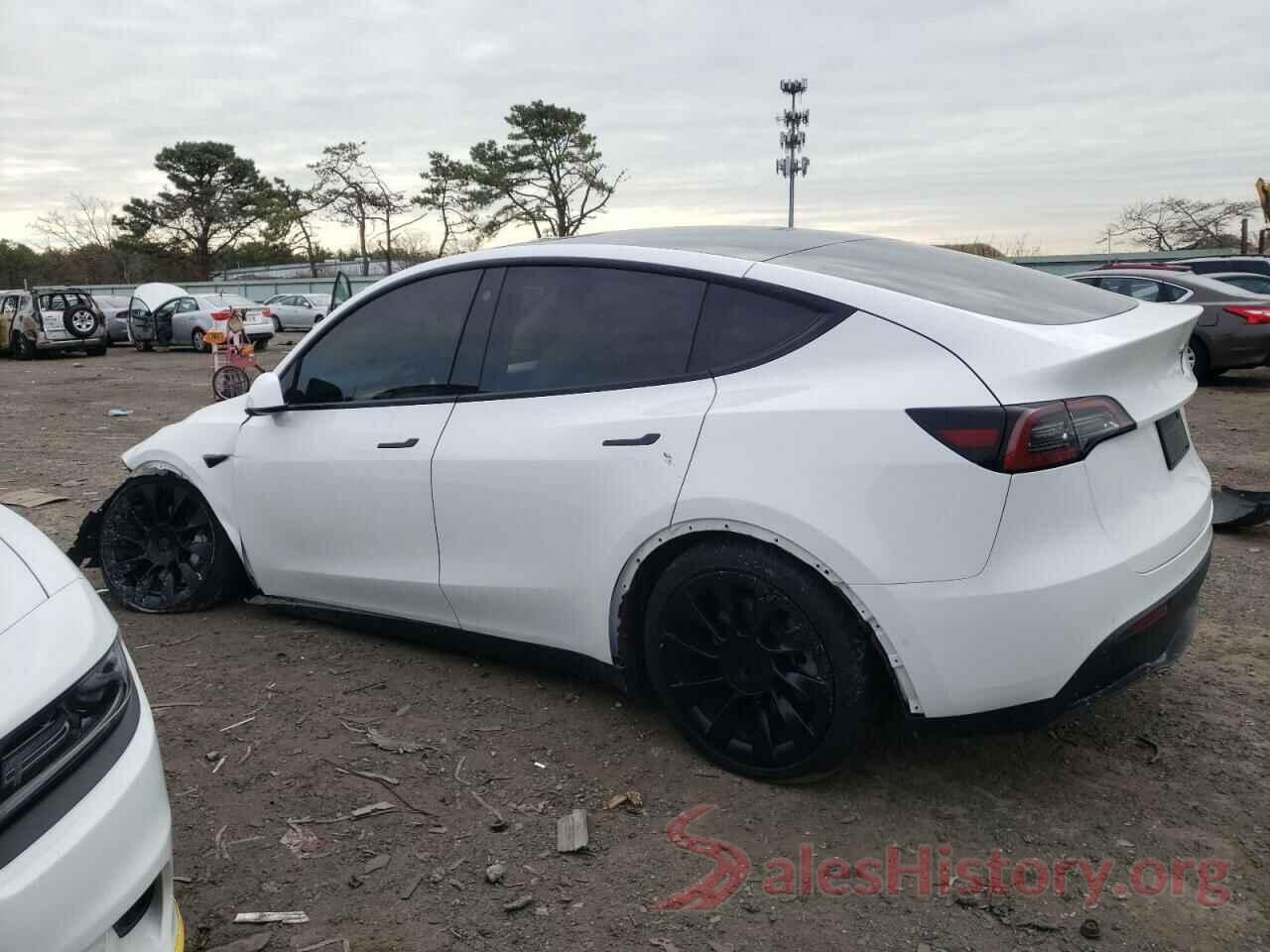 5YJYGAEE4MF211329 2021 TESLA MODEL Y