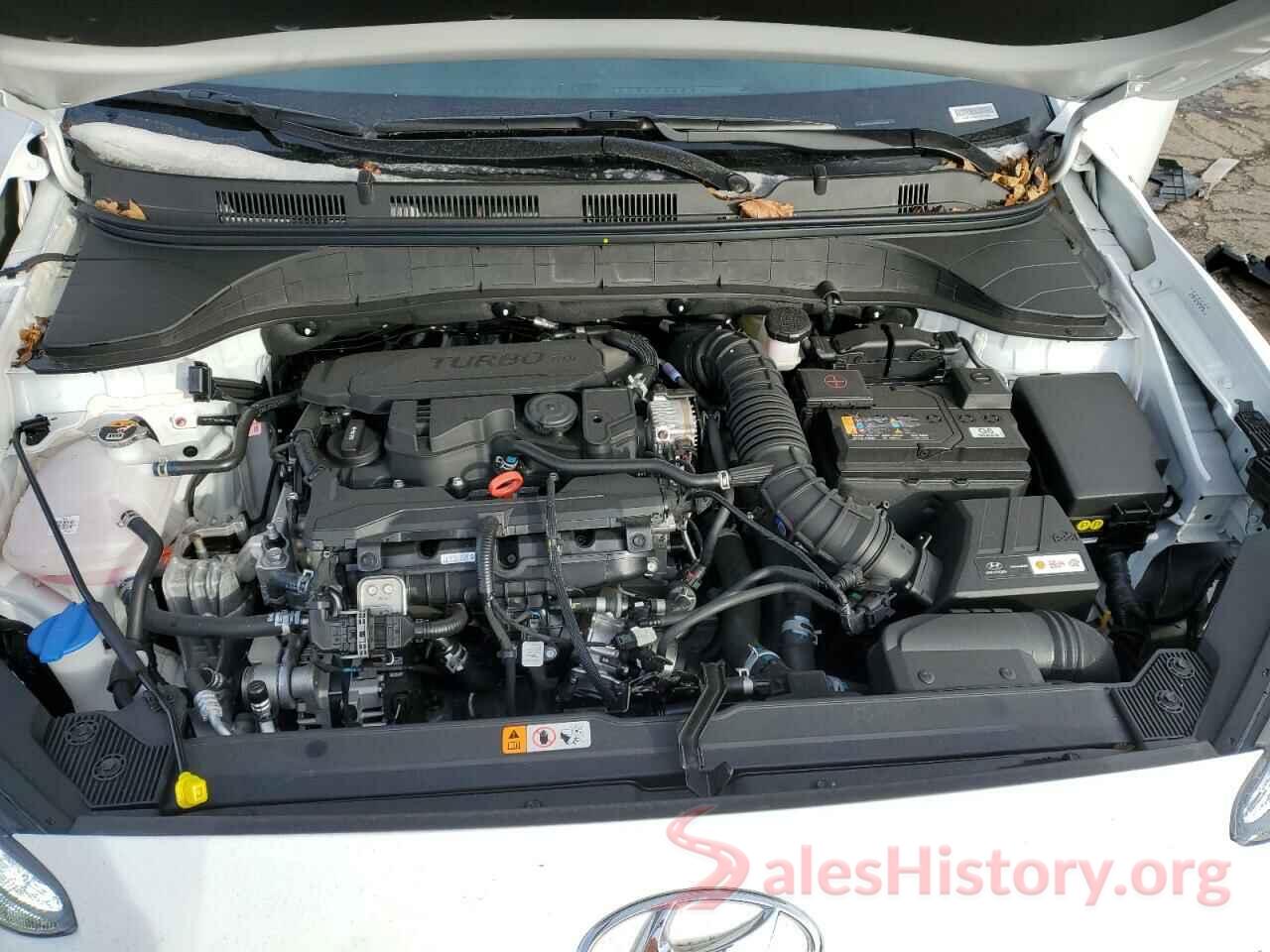 KM8K5CA36PU959065 2023 HYUNDAI KONA