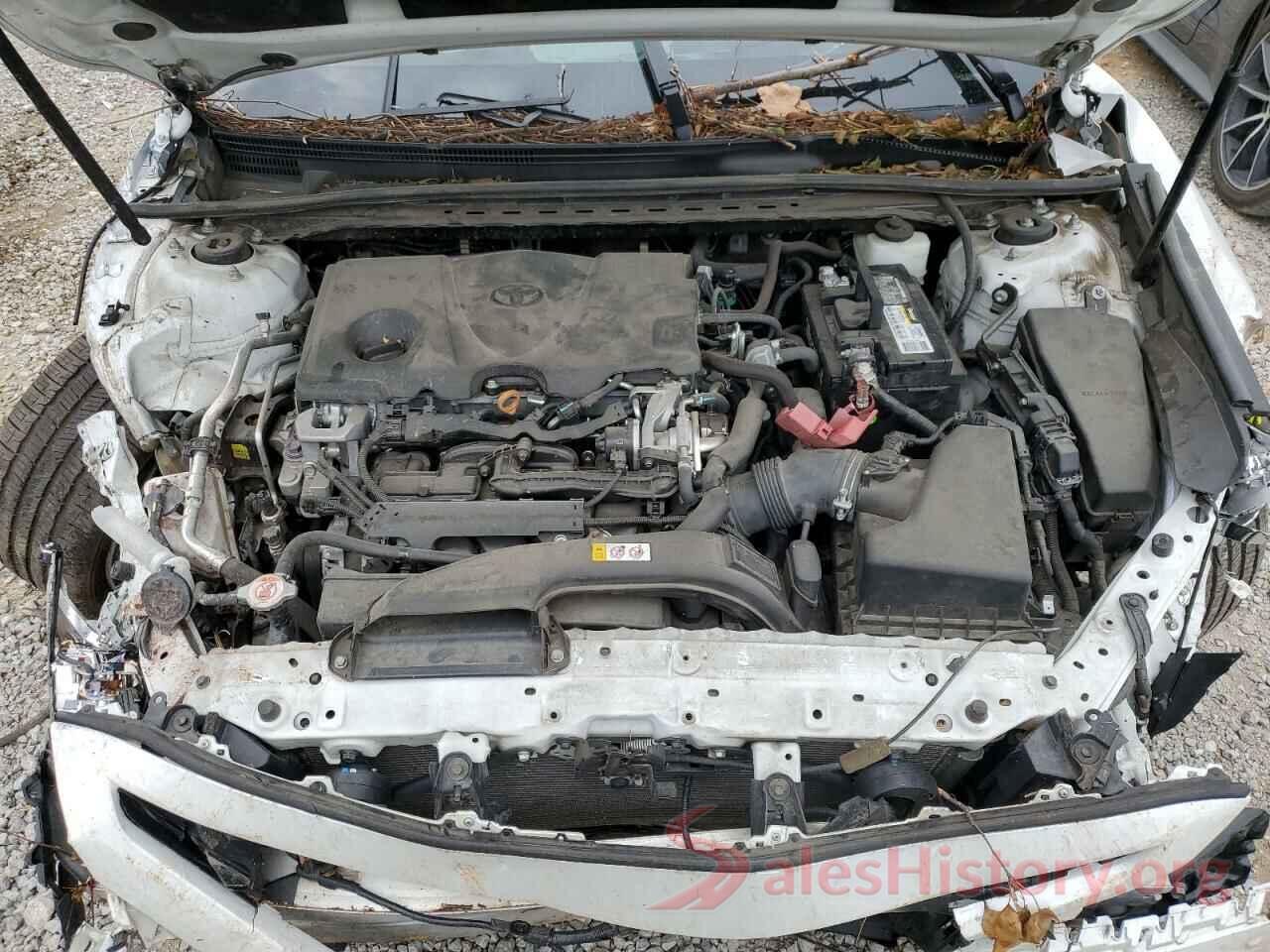 4T1B61HK1KU258781 2019 TOYOTA CAMRY