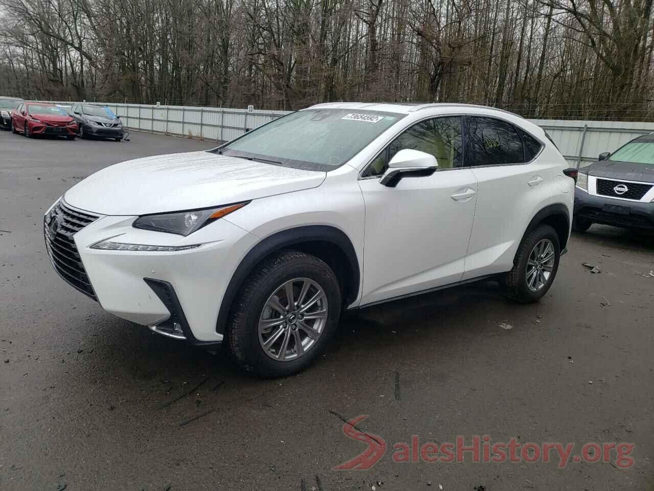 JTJDARBZ6M5031967 2021 LEXUS NX