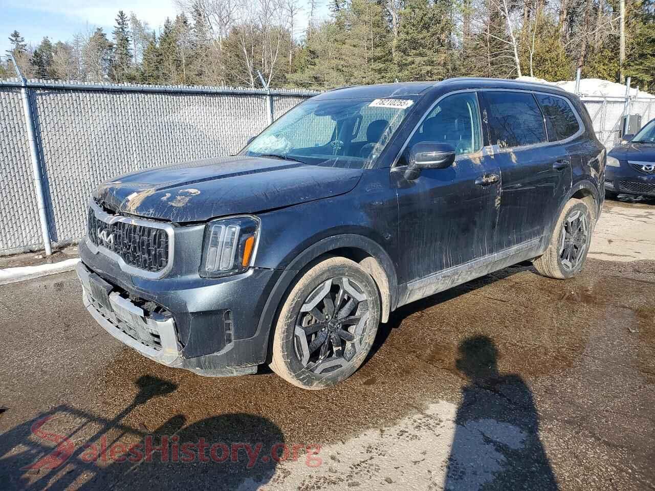 5XYP3DGC2PG360467 2023 KIA TELLURIDE