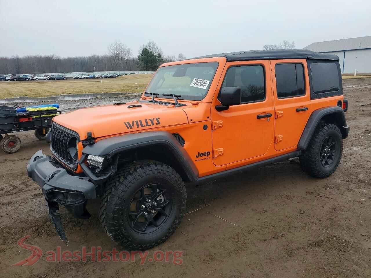 2025 JEEP WRANGLER VIN 1C4PJXDNXSW593151, auction photo