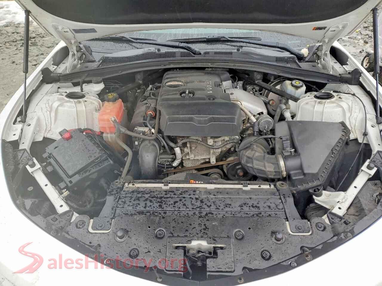 2018 CHEVROLET CAMARO VIN 1G1FB1RX6J0151705, VIN plate