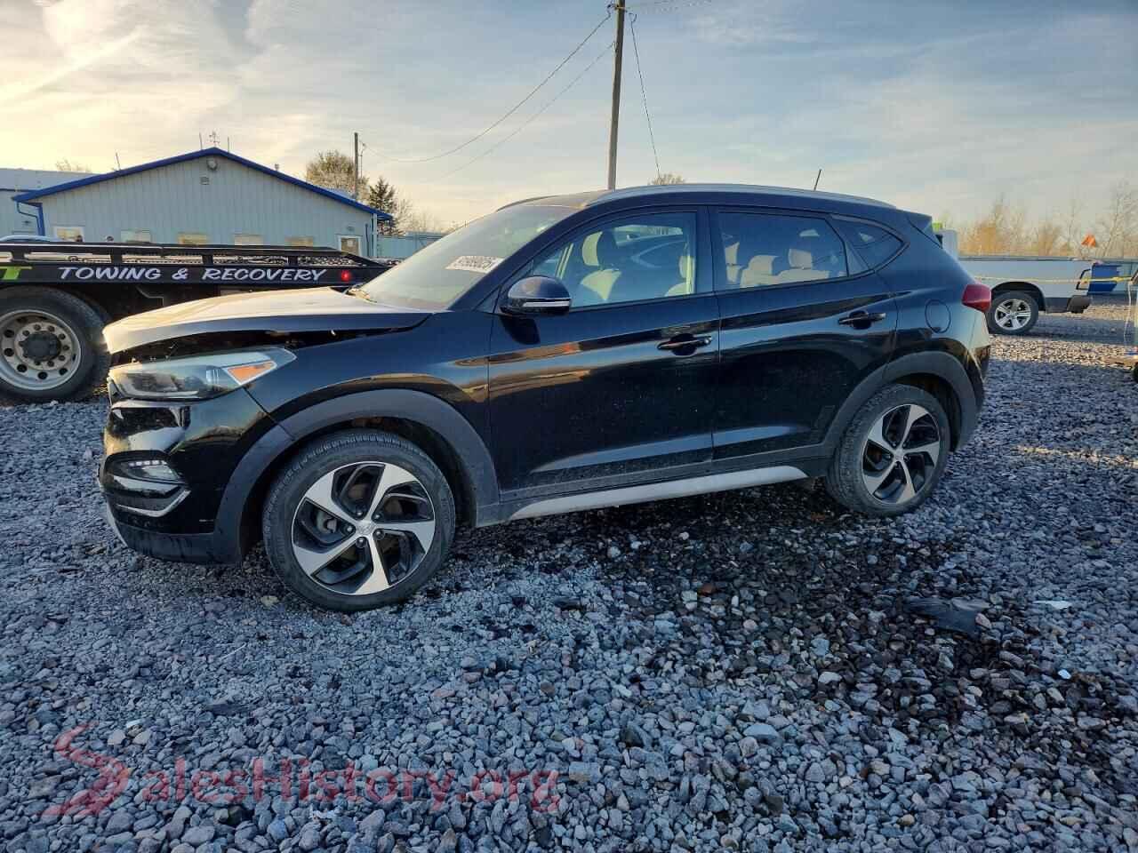 KM8J3CA20HU376551 2017 HYUNDAI TUCSON