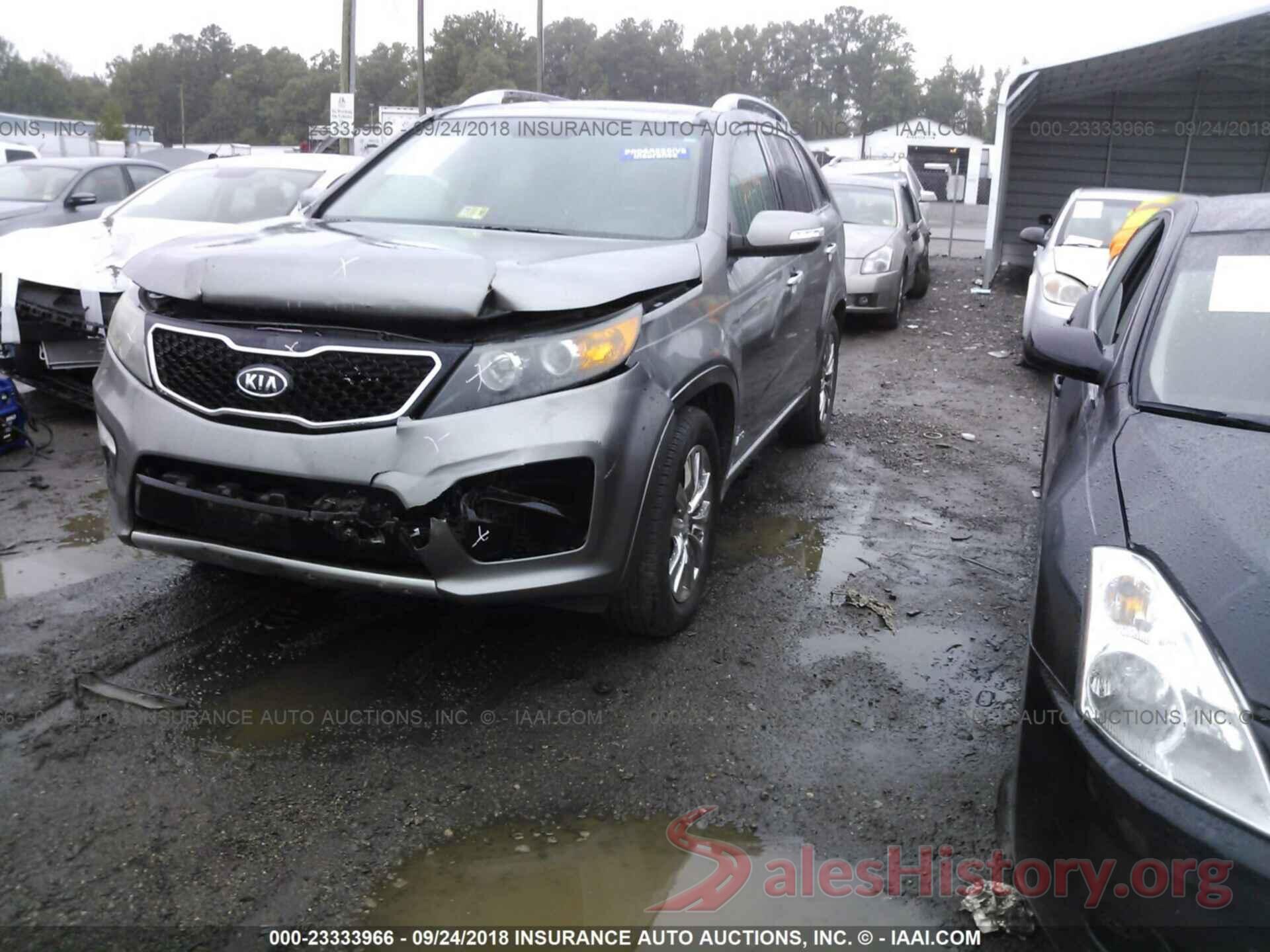 5XYKWDA28BG168397 2011 Kia Sorento