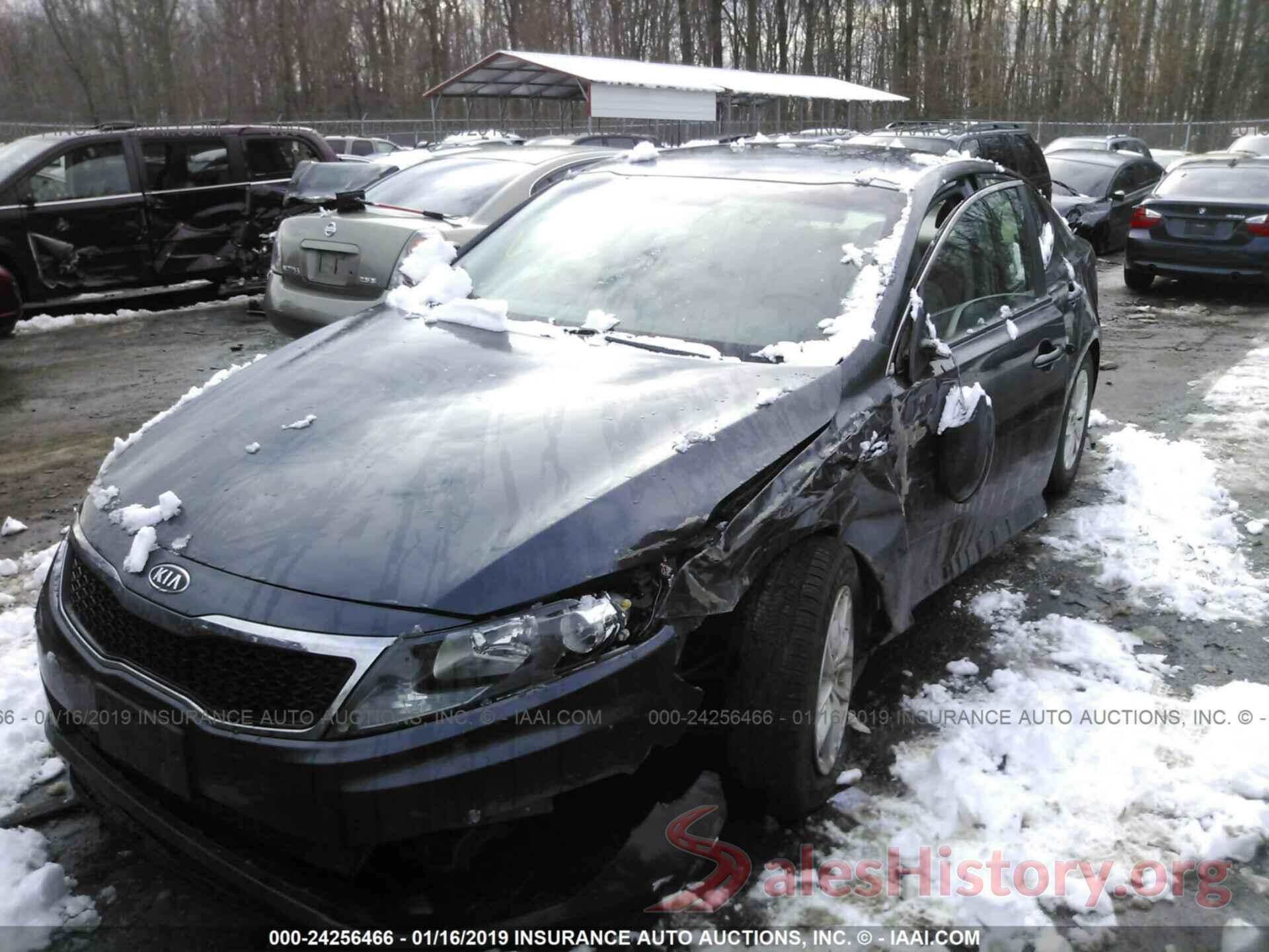 KNAGM4A79B5161066 2011 KIA OPTIMA