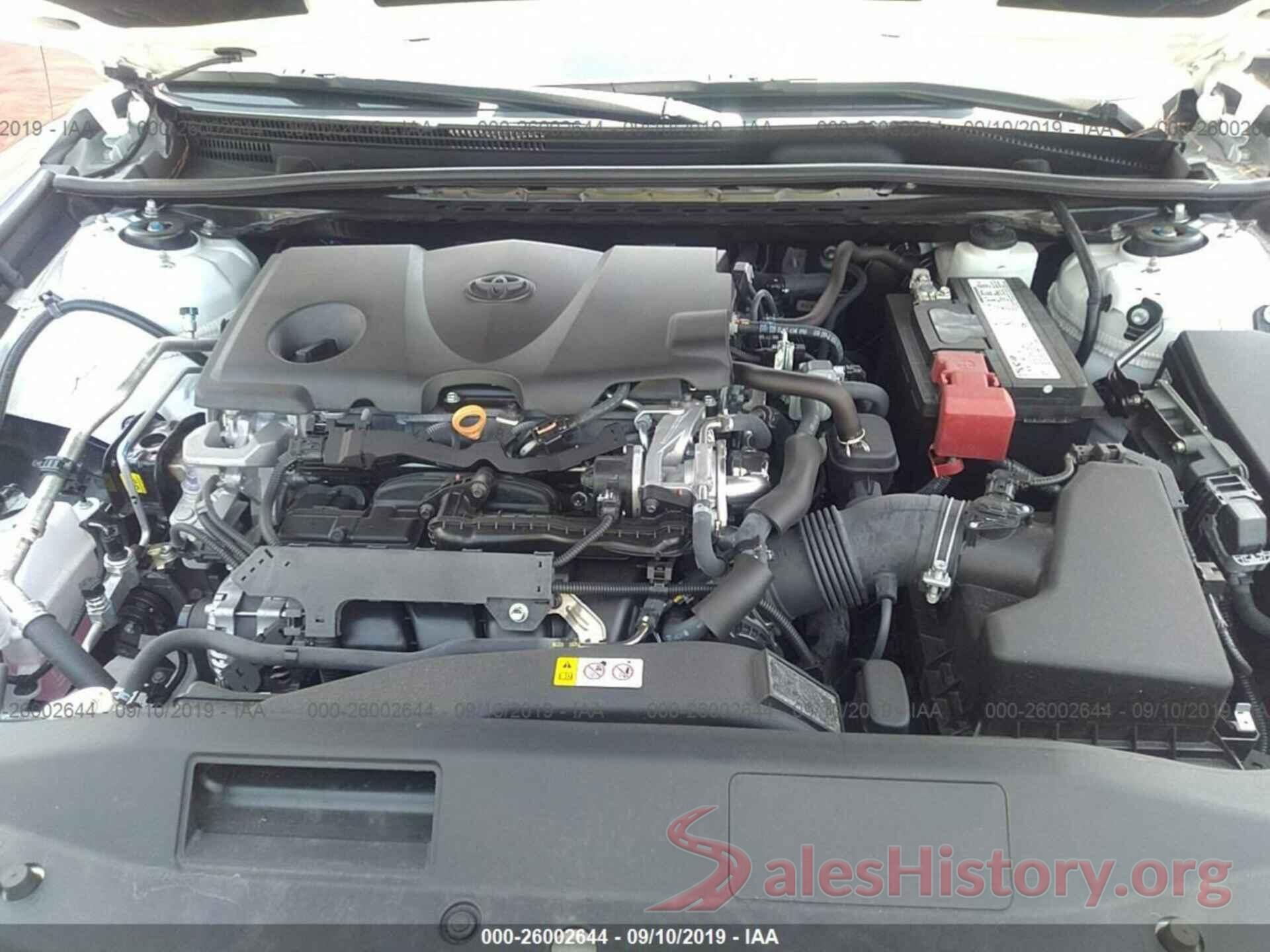 4T1B11HK3KU229409 2019 TOYOTA CAMRY