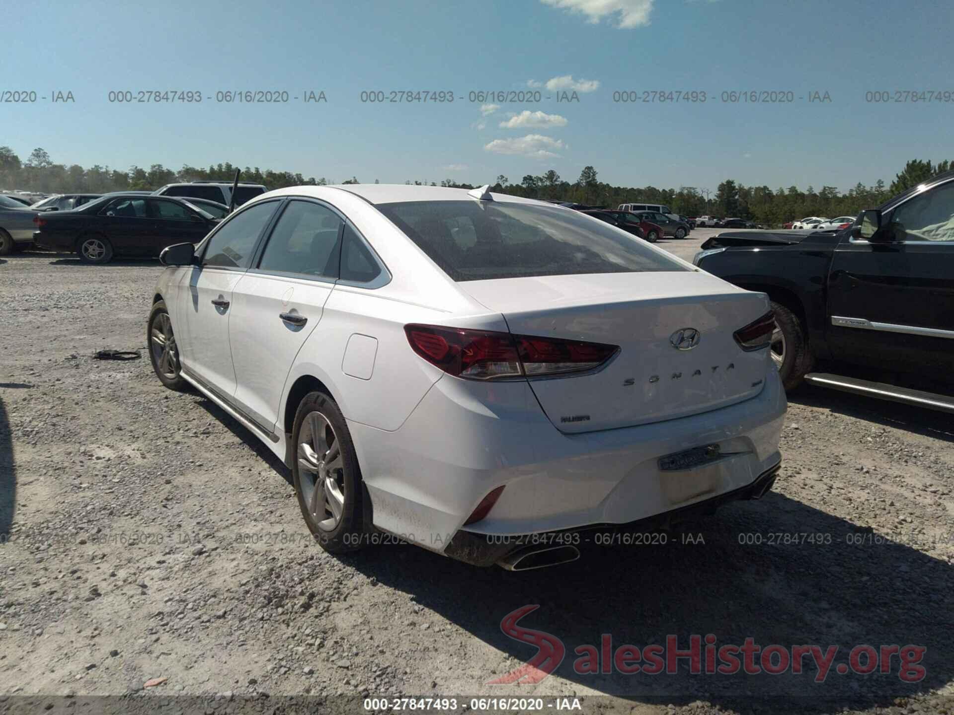 5NPE34AF7KH807435 2019 HYUNDAI SONATA