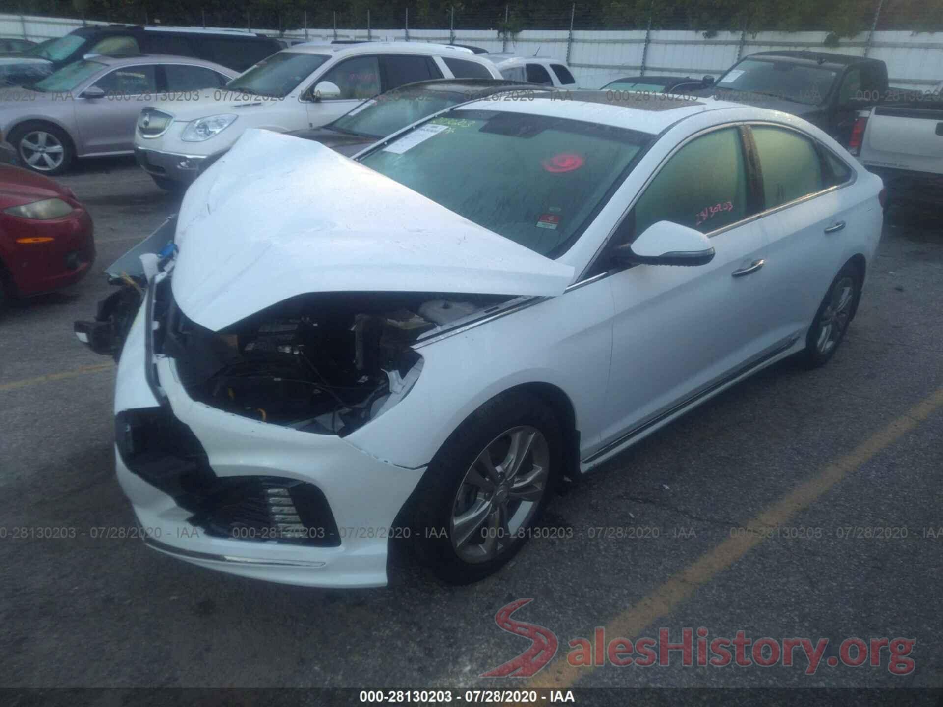 5NPE34AF9KH810918 2019 HYUNDAI SONATA