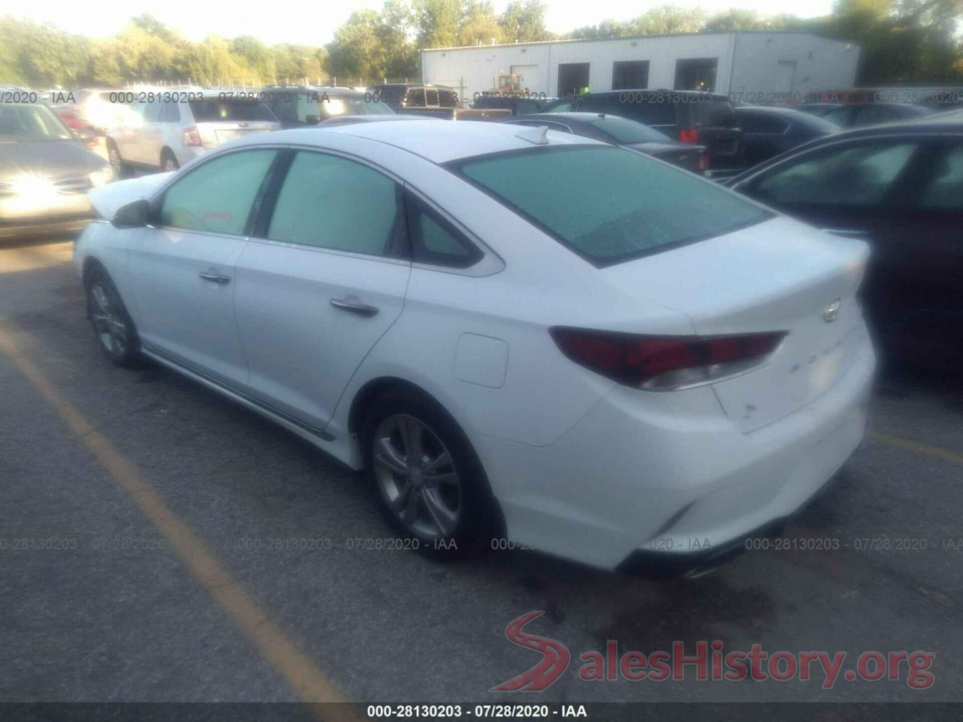 5NPE34AF9KH810918 2019 HYUNDAI SONATA