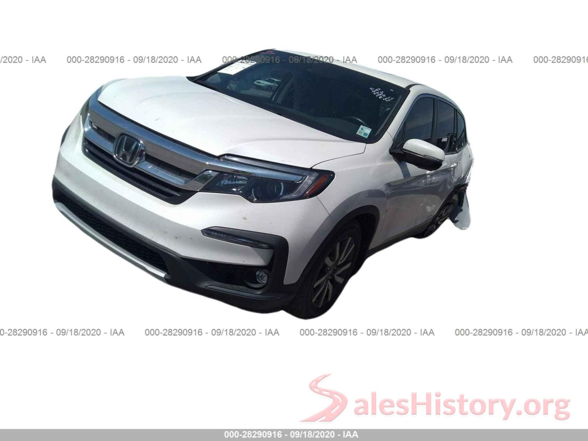 5FNYF5H52KB014033 2019 HONDA PILOT