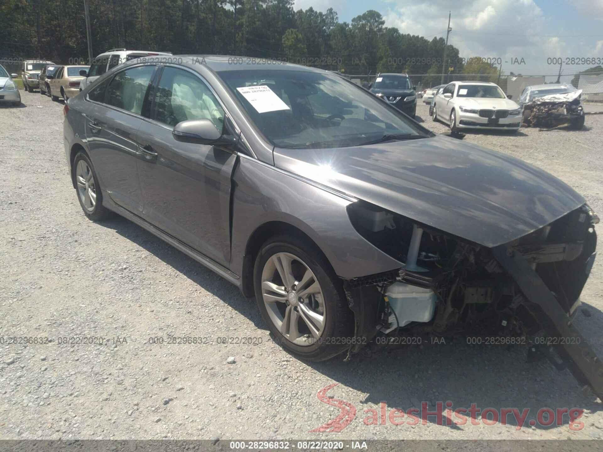 5NPE34AF4KH765077 2019 HYUNDAI SONATA