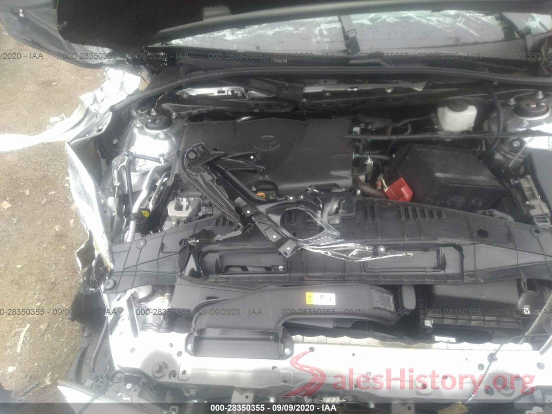 4T1B11HK7KU183745 2019 TOYOTA CAMRY