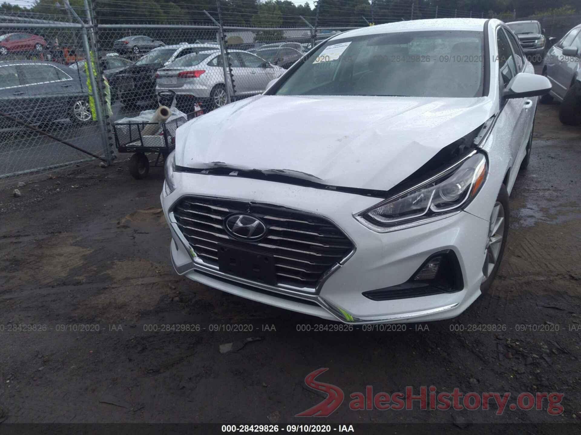 5NPE24AF4KH813051 2019 HYUNDAI SONATA