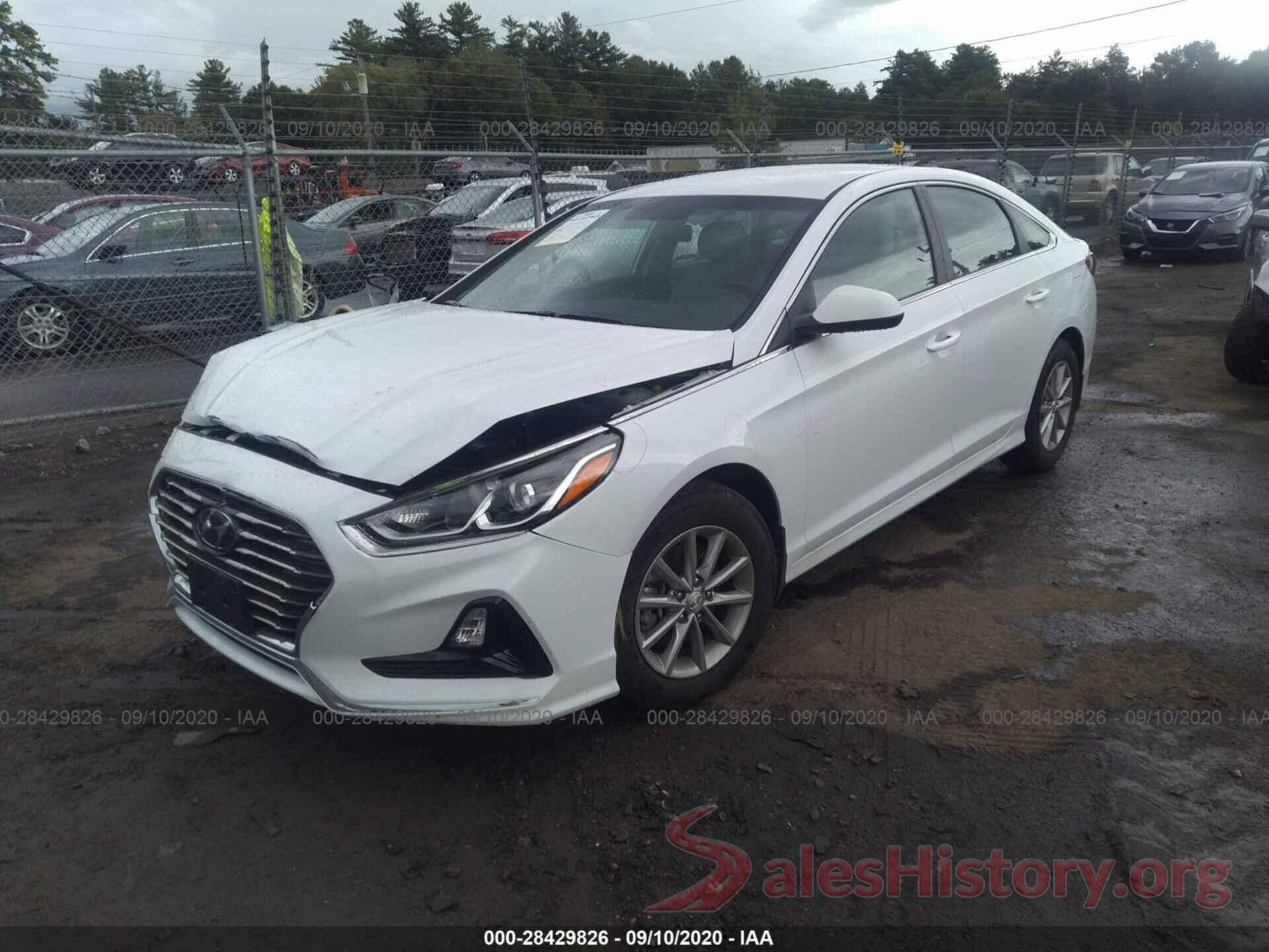 5NPE24AF4KH813051 2019 HYUNDAI SONATA