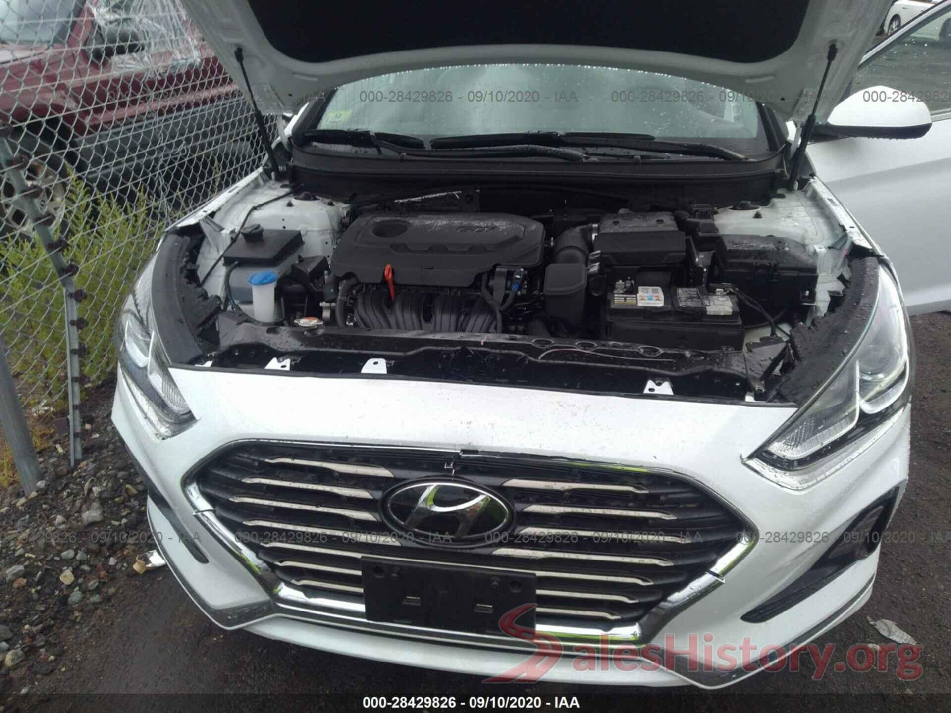 5NPE24AF4KH813051 2019 HYUNDAI SONATA