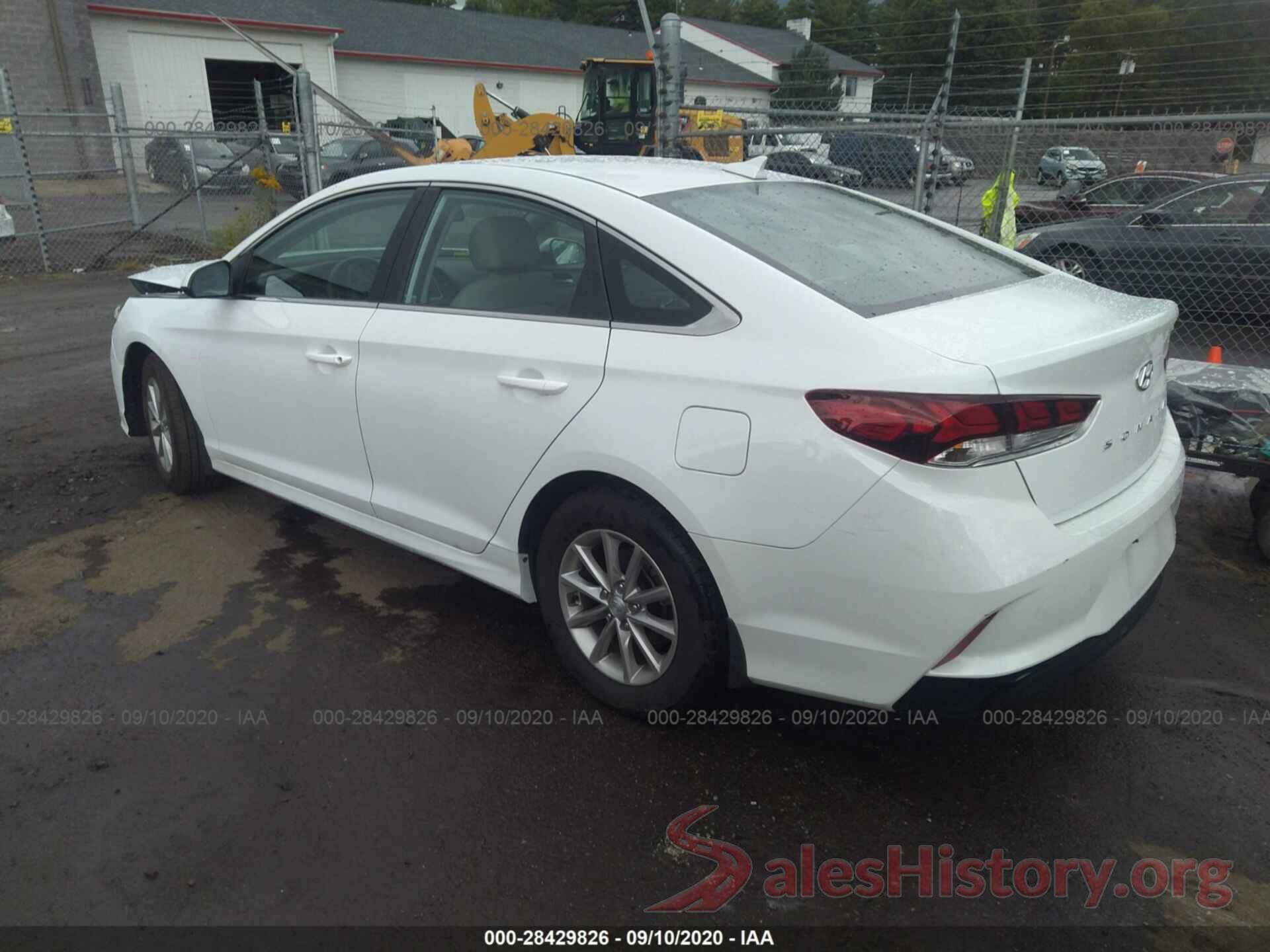 5NPE24AF4KH813051 2019 HYUNDAI SONATA