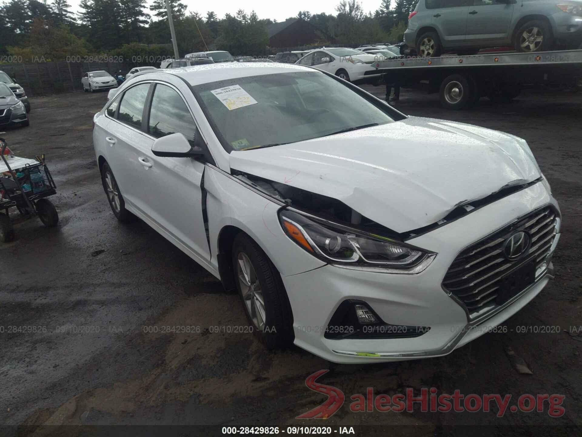 5NPE24AF4KH813051 2019 HYUNDAI SONATA