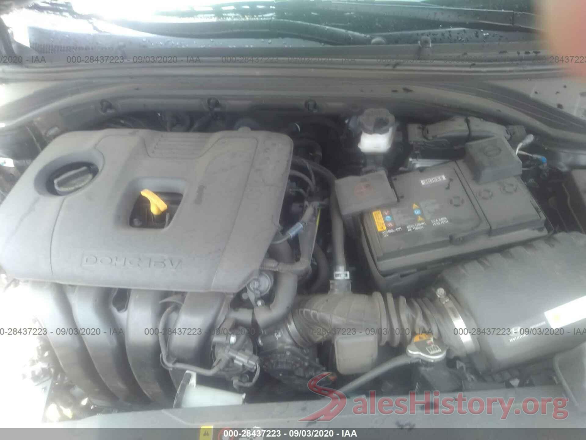 KMHD84LF5KU730317 2019 HYUNDAI ELANTRA