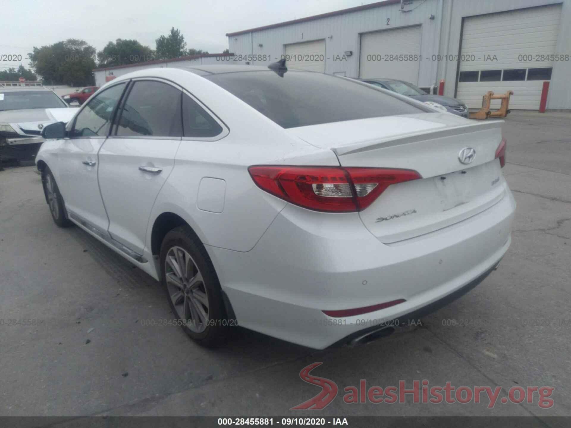 5NPE34AF7GH290631 2016 HYUNDAI SONATA