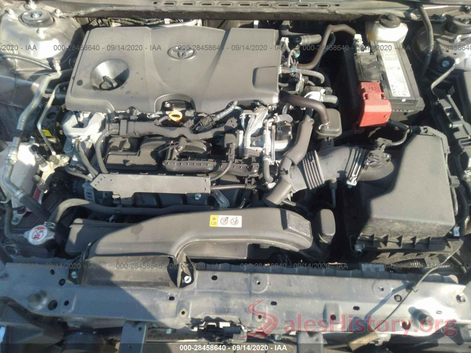 4T1B11HK1KU733232 2019 TOYOTA CAMRY