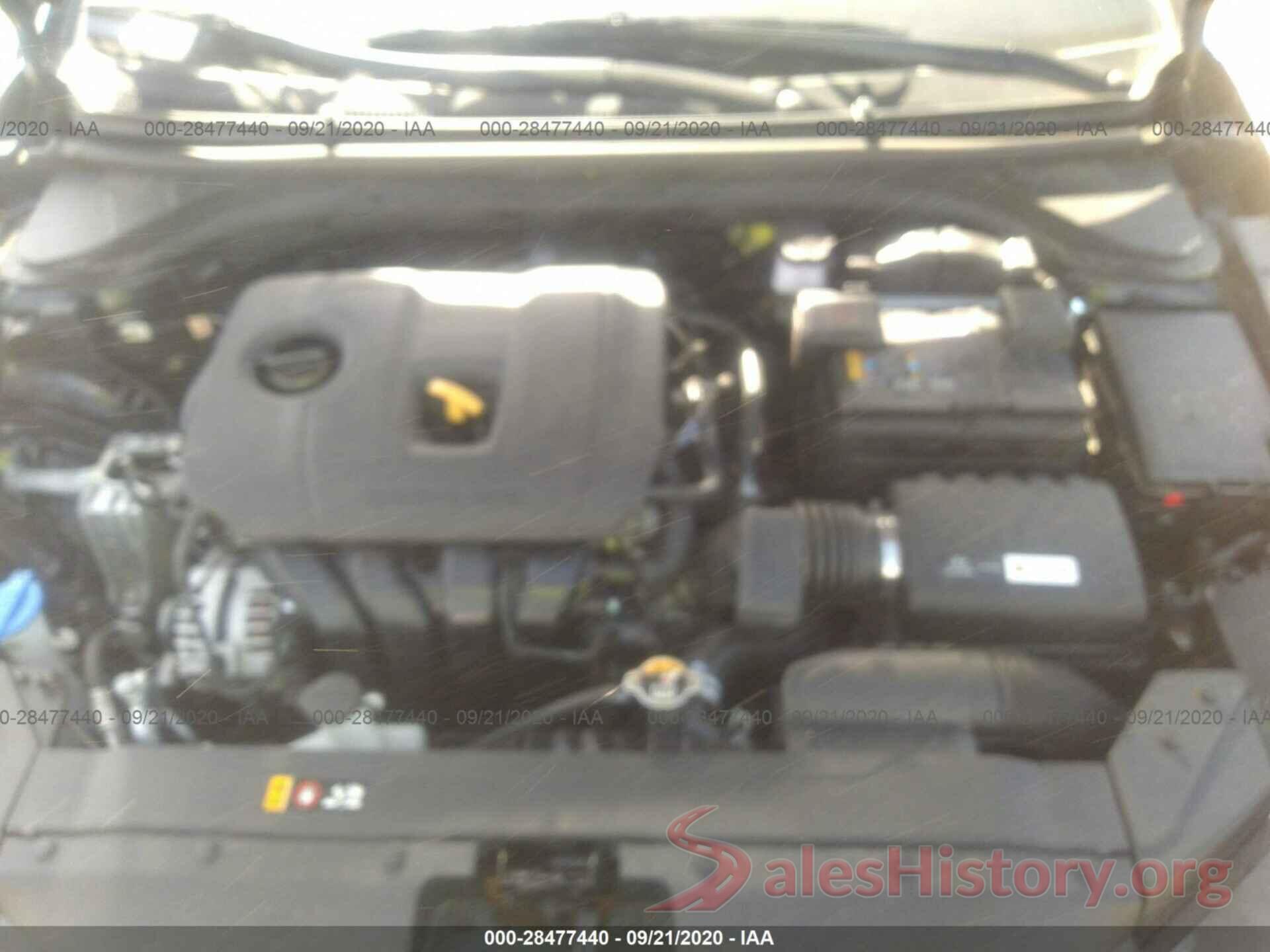 KMHD74LF5KU779391 2019 HYUNDAI ELANTRA