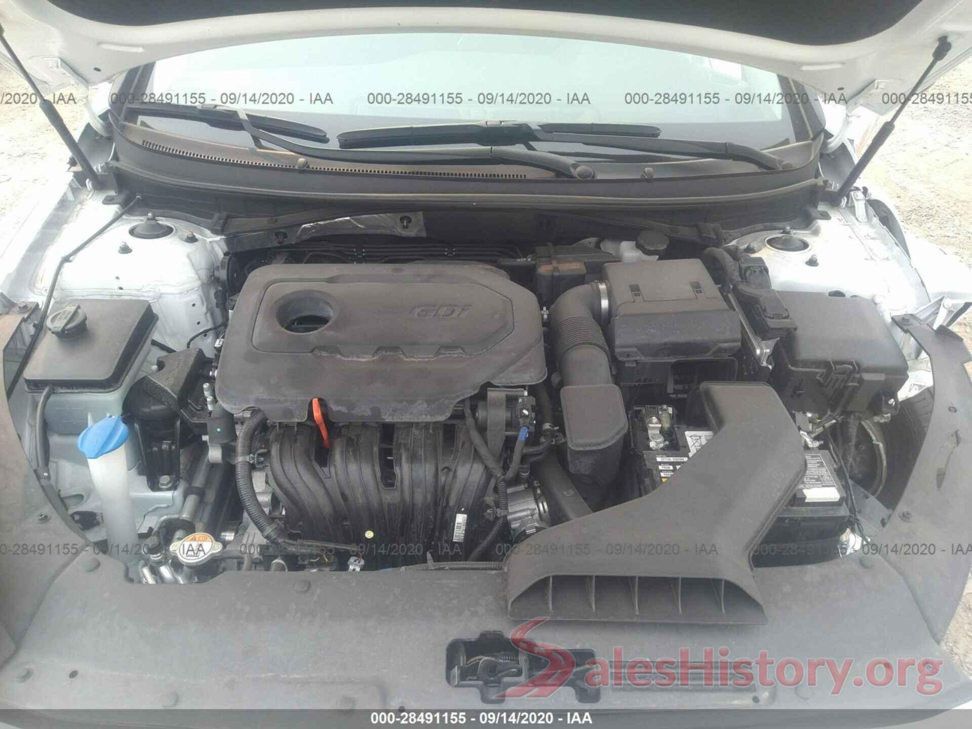 5NPE24AF0KH805822 2019 HYUNDAI SONATA