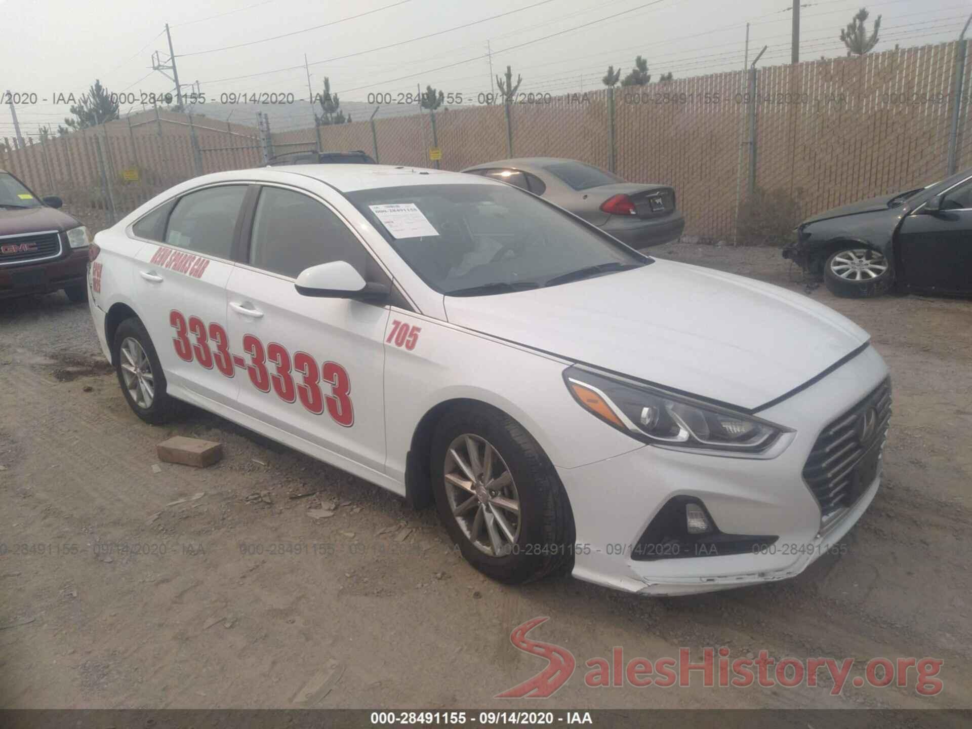 5NPE24AF0KH805822 2019 HYUNDAI SONATA