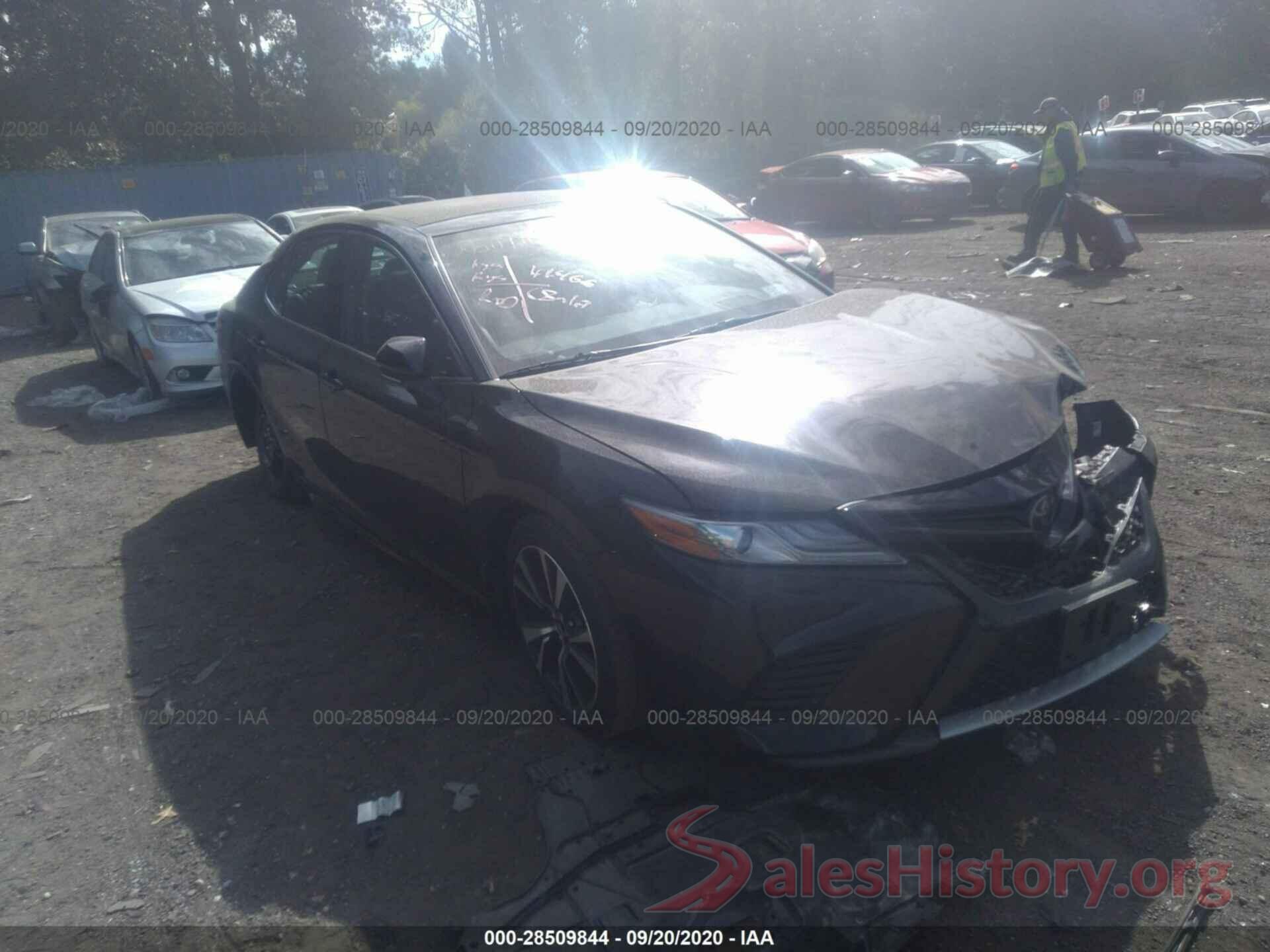 4T1B61HK7KU175100 2019 TOYOTA CAMRY