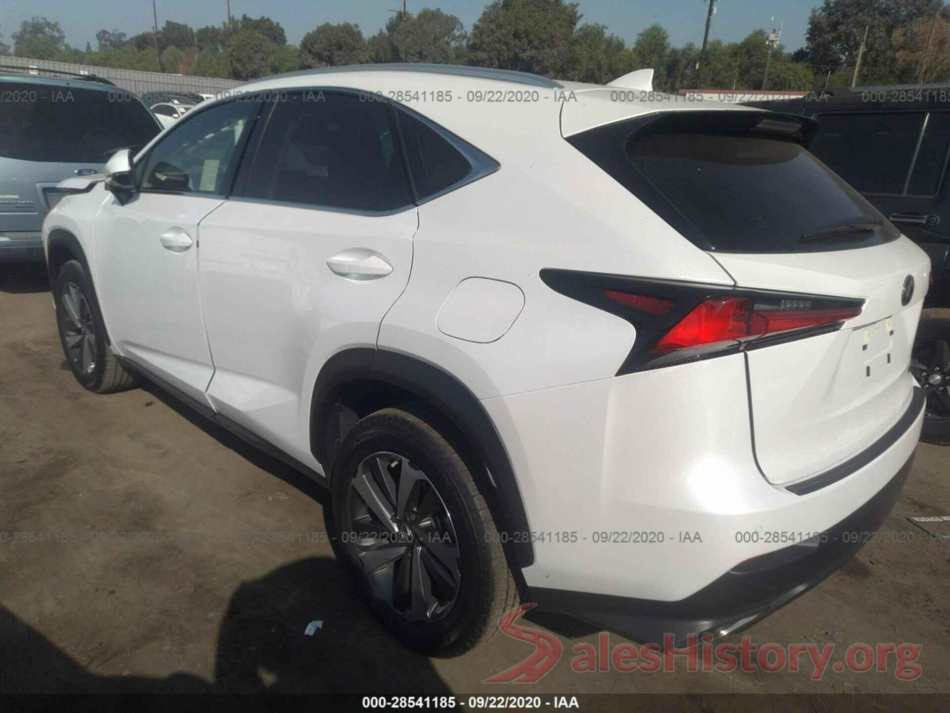 JTJDARBZ5L5006802 2020 LEXUS NX