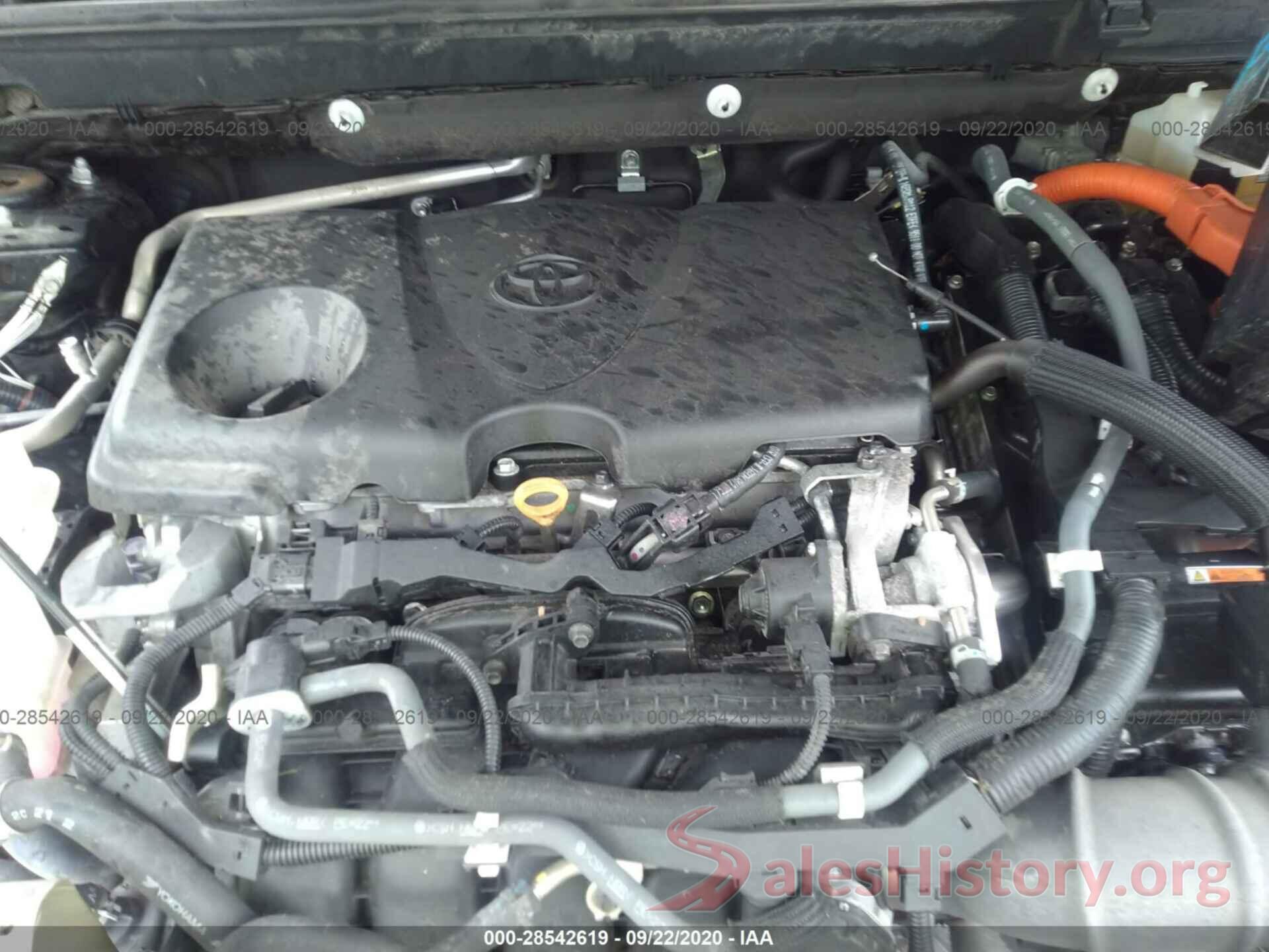 2T3LWRFV1KW018511 2019 TOYOTA RAV4