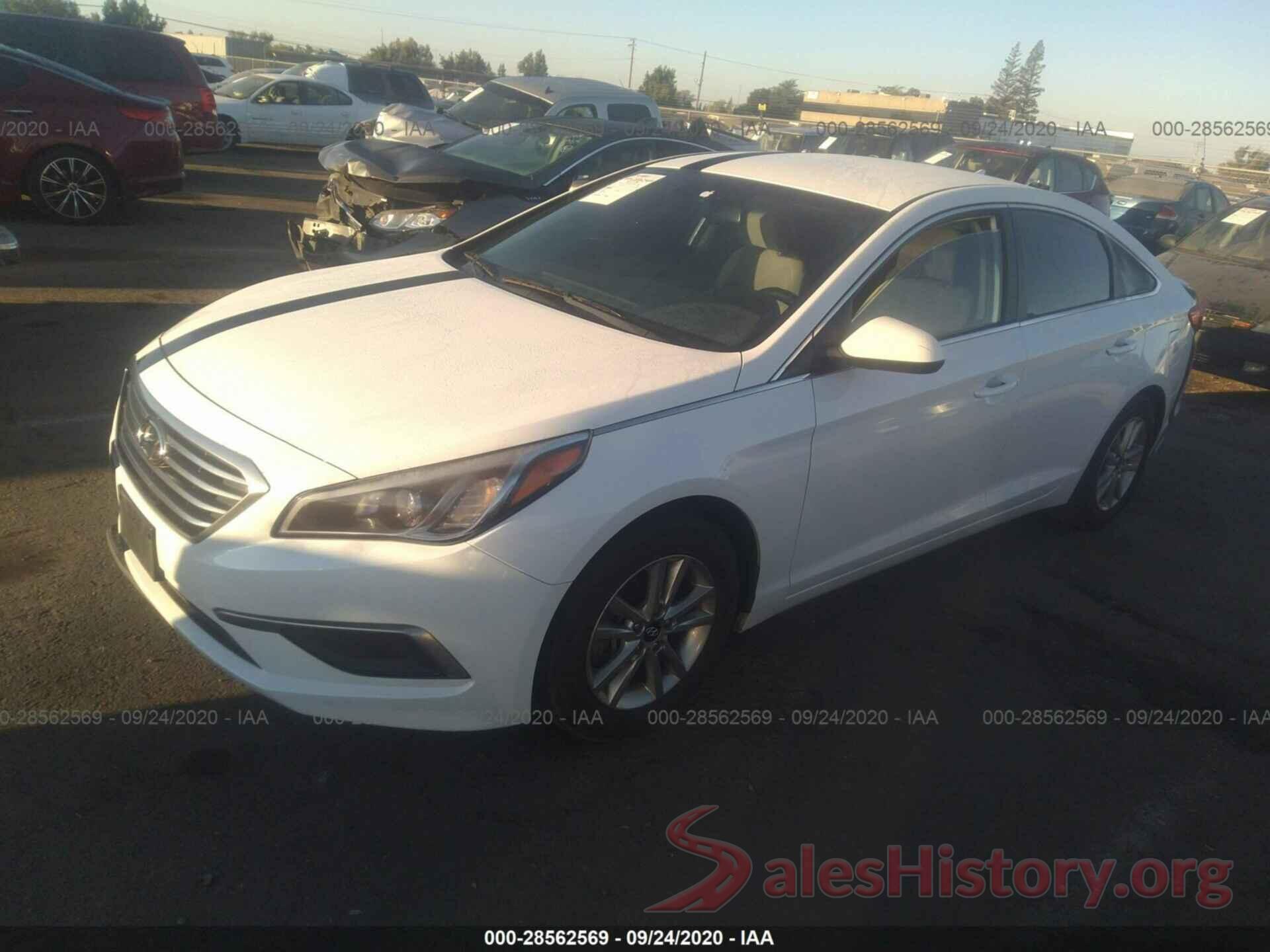 5NPE24AF1GH334982 2016 HYUNDAI SONATA